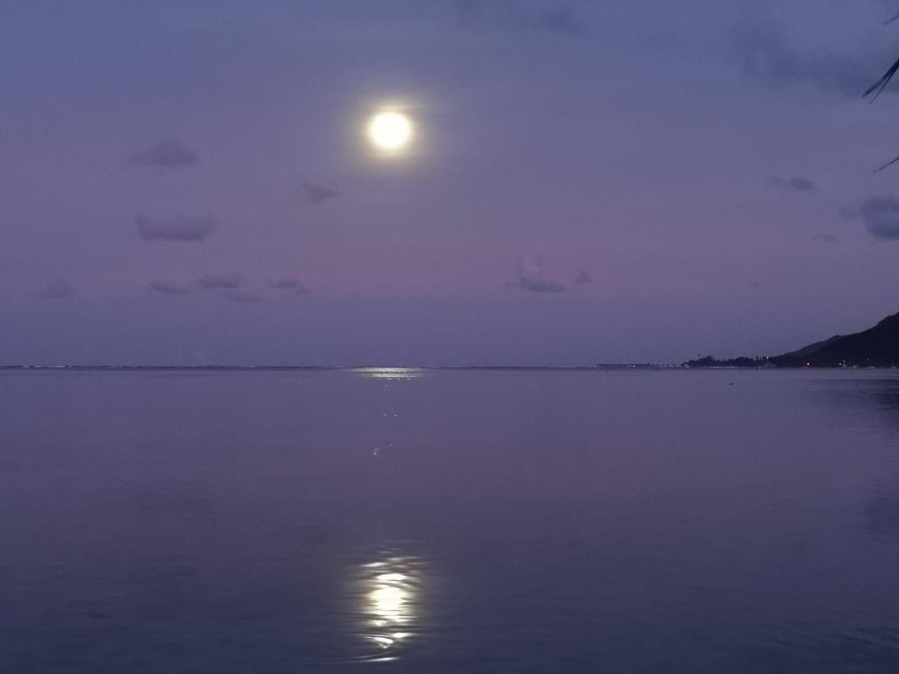 Lagoon Dream Moorea Esterno foto